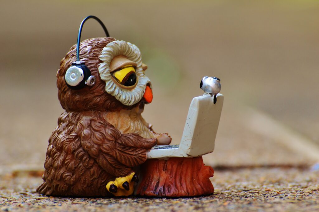 owl with headphones on laptop